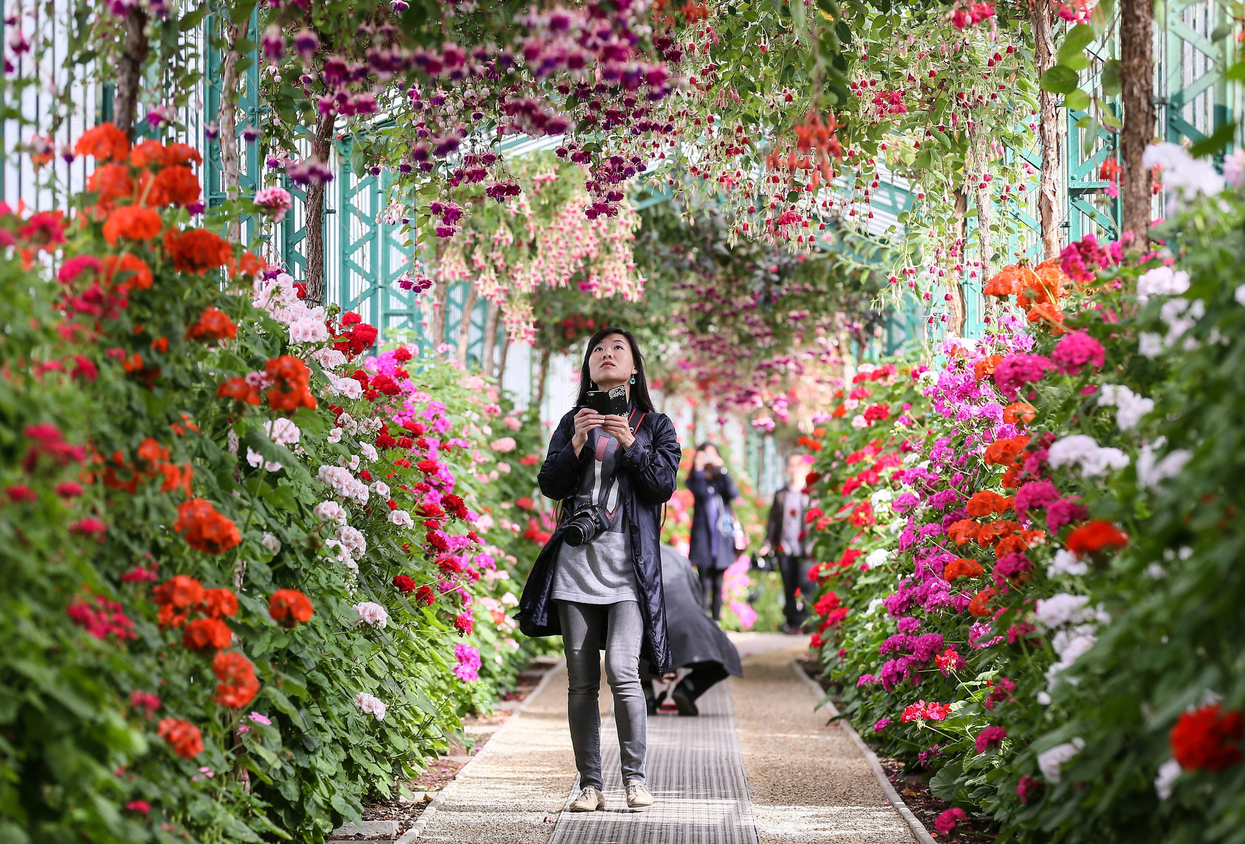 Royal Greenhouses open to public in Brussels