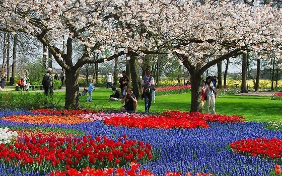 1572_fullimage_keukenhof park mensen_560x350