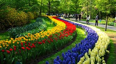 Keukenhof