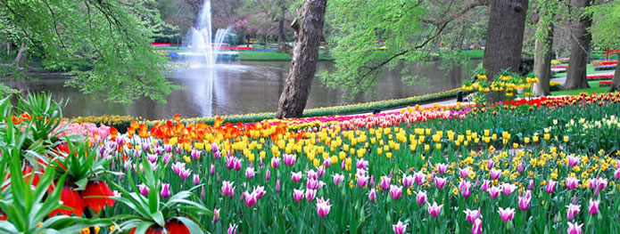 keukenhof-park