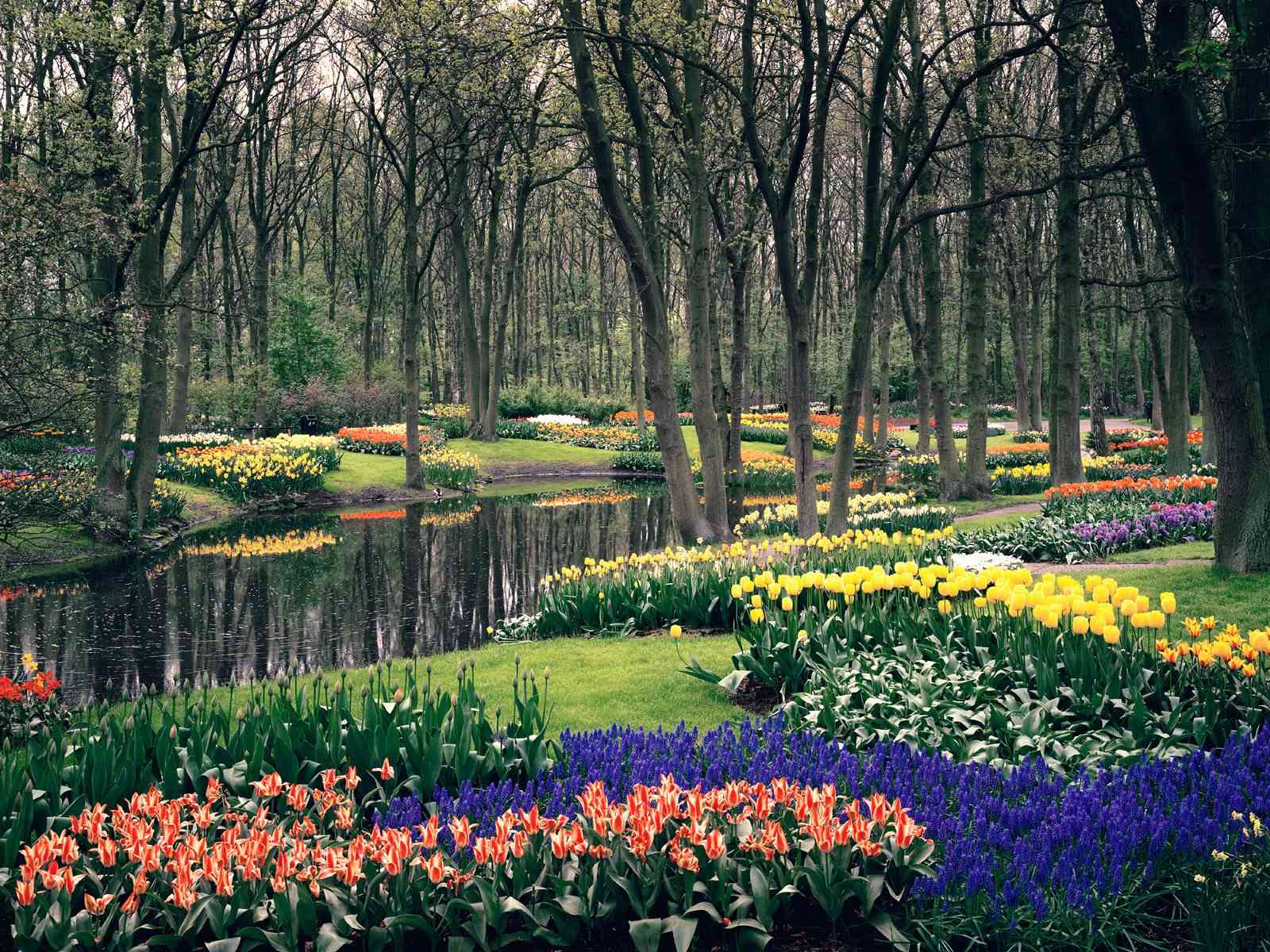 Park-Keukenhof-near-Amsterdam_1