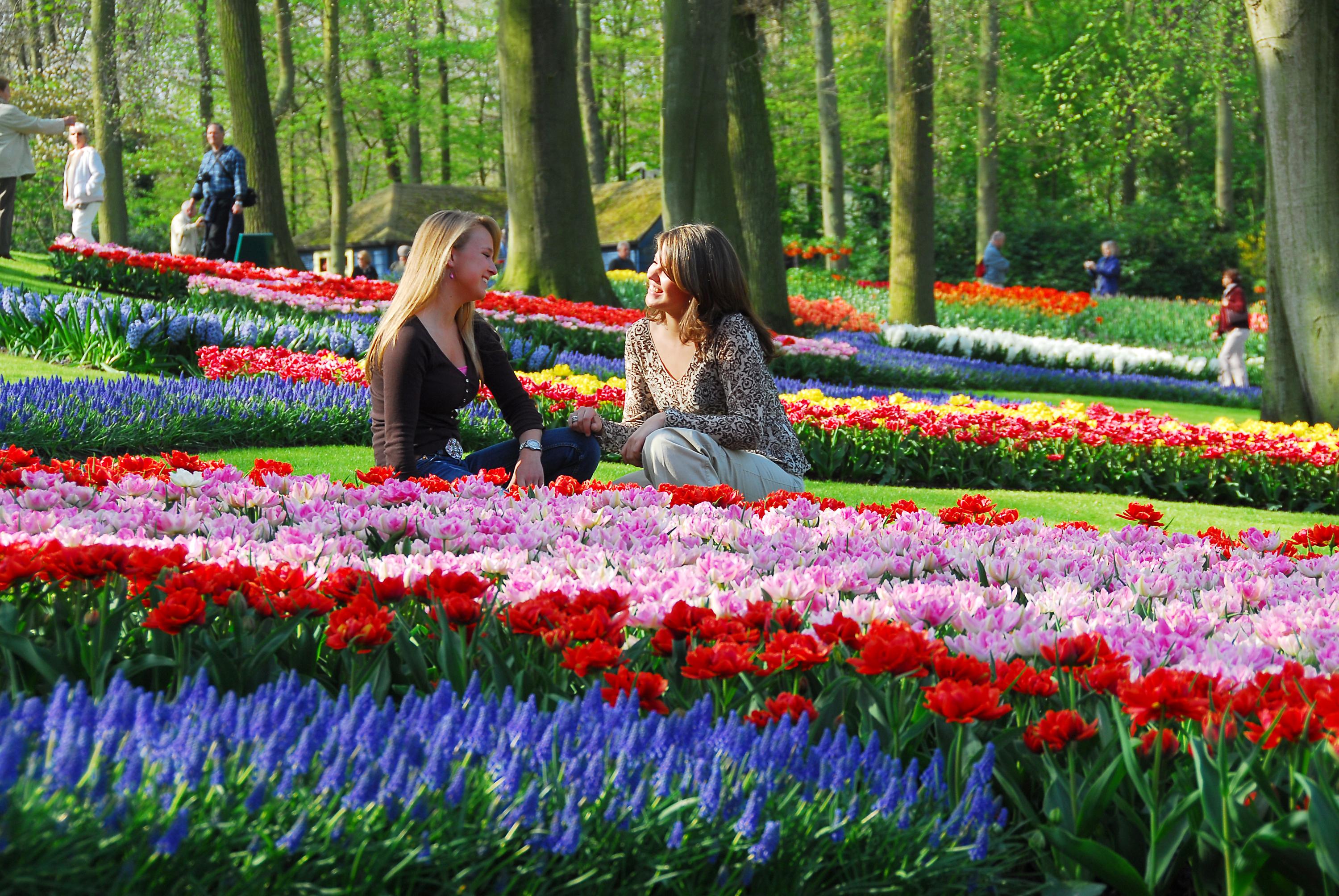 the-beauty-of-Keukenhof