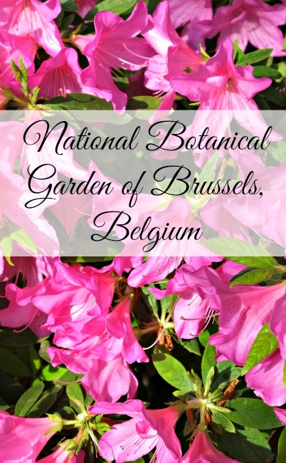 national-botanical-garden-brussels-Belgium