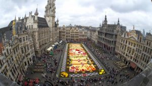 Flower Carpet 2016_14